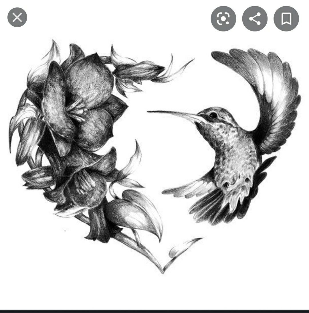 Тату Колибри черно белая