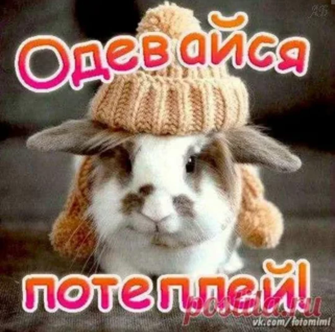 Доброе утро одевайтесь теплее