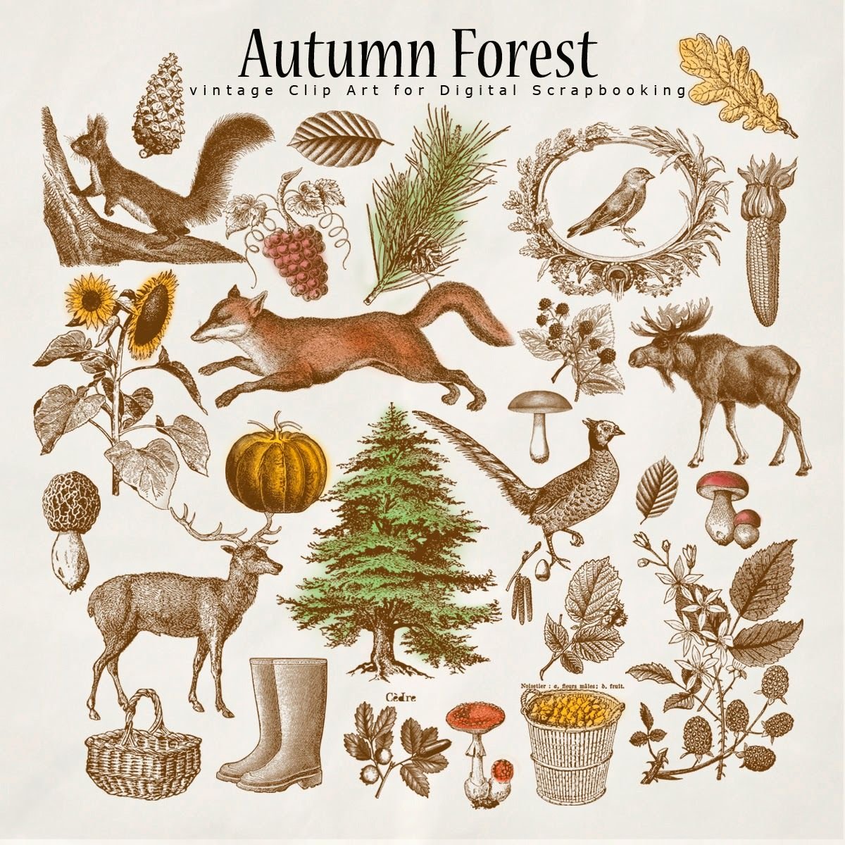 Стикеры для распечатки лес