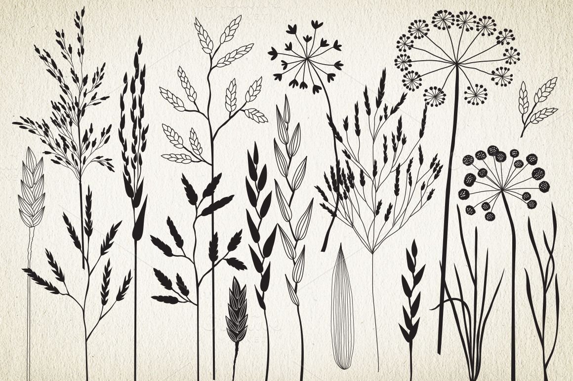 Стилизация растений