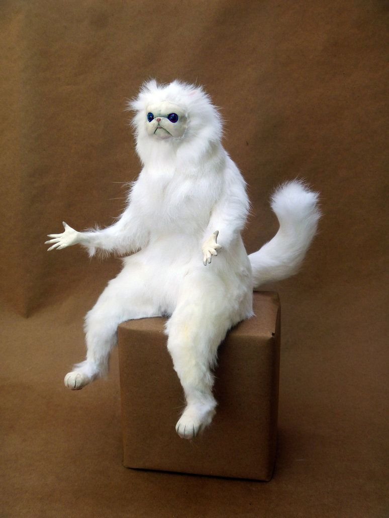 Упоротый кот