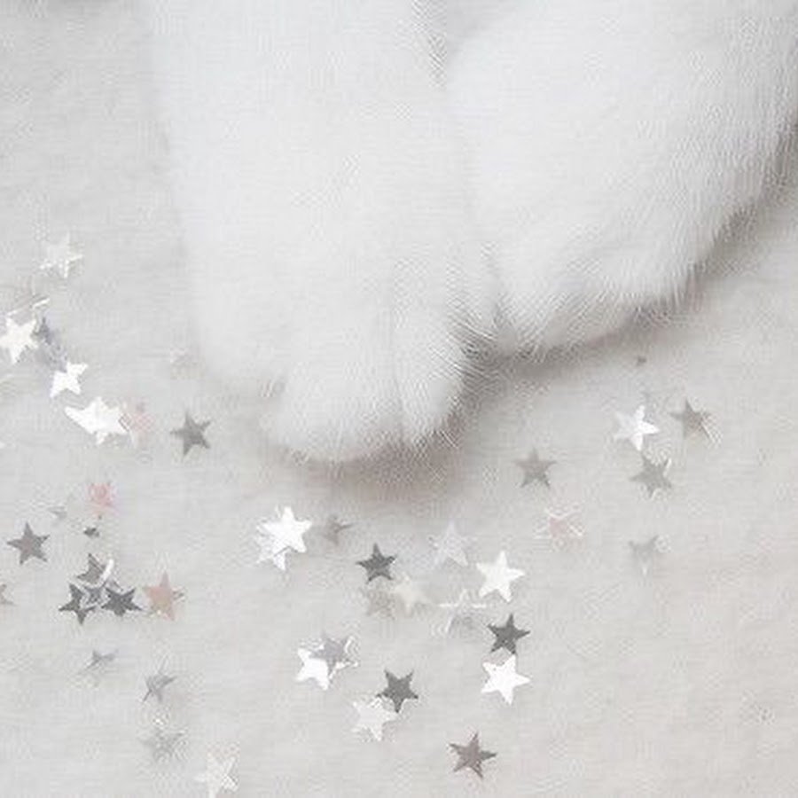 Эстетика белого