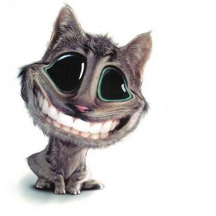 Кот улыбается с зубами