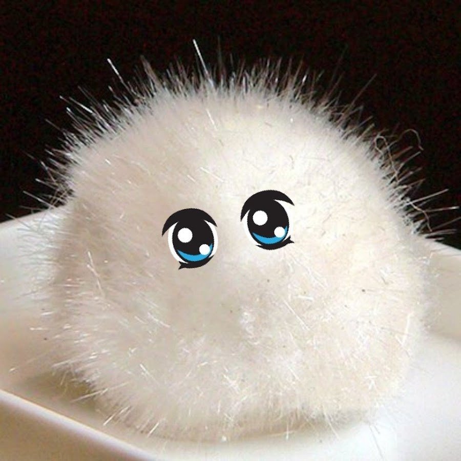 Пушистый шарик