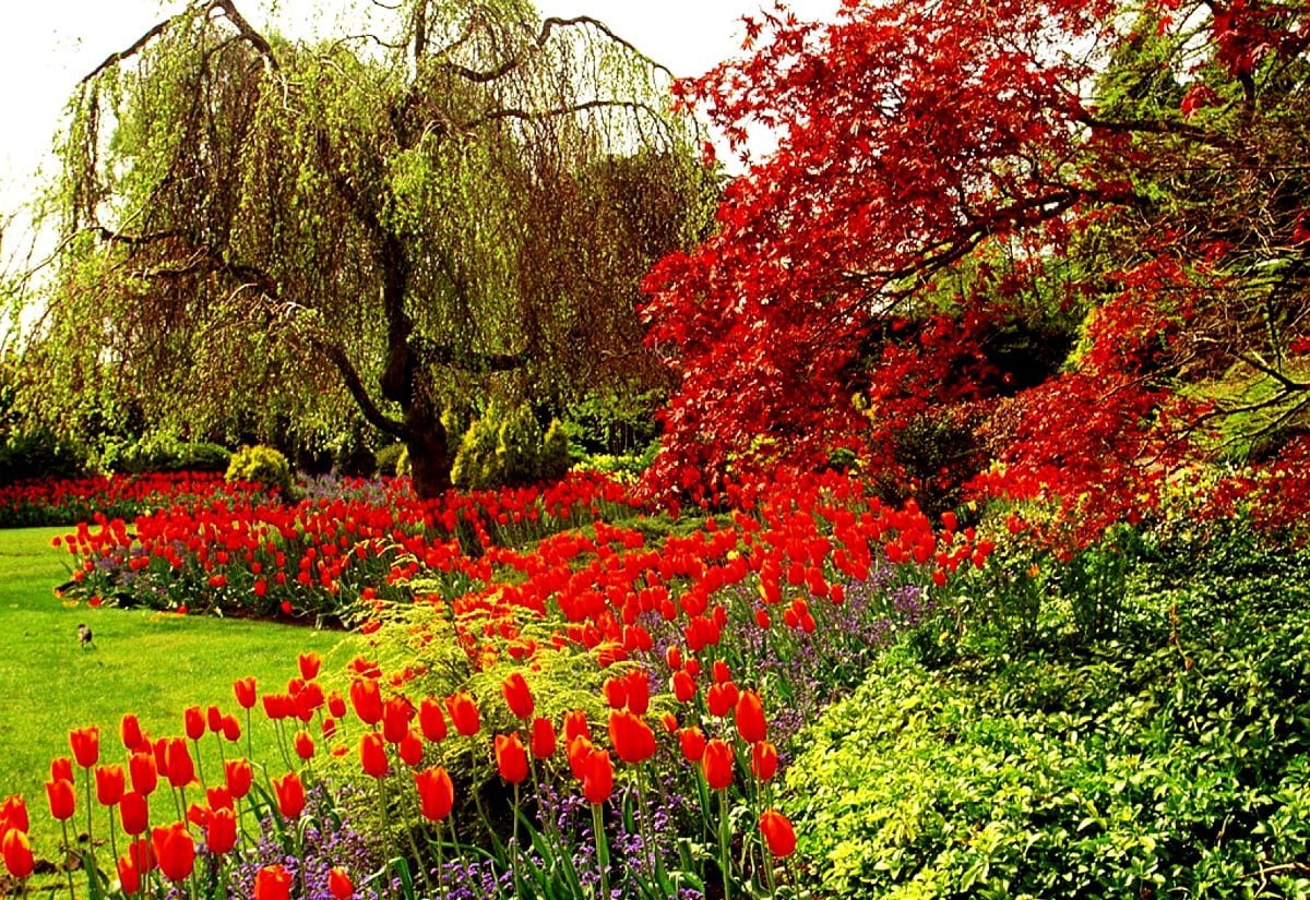 Монреальский Ботанический сад розарий