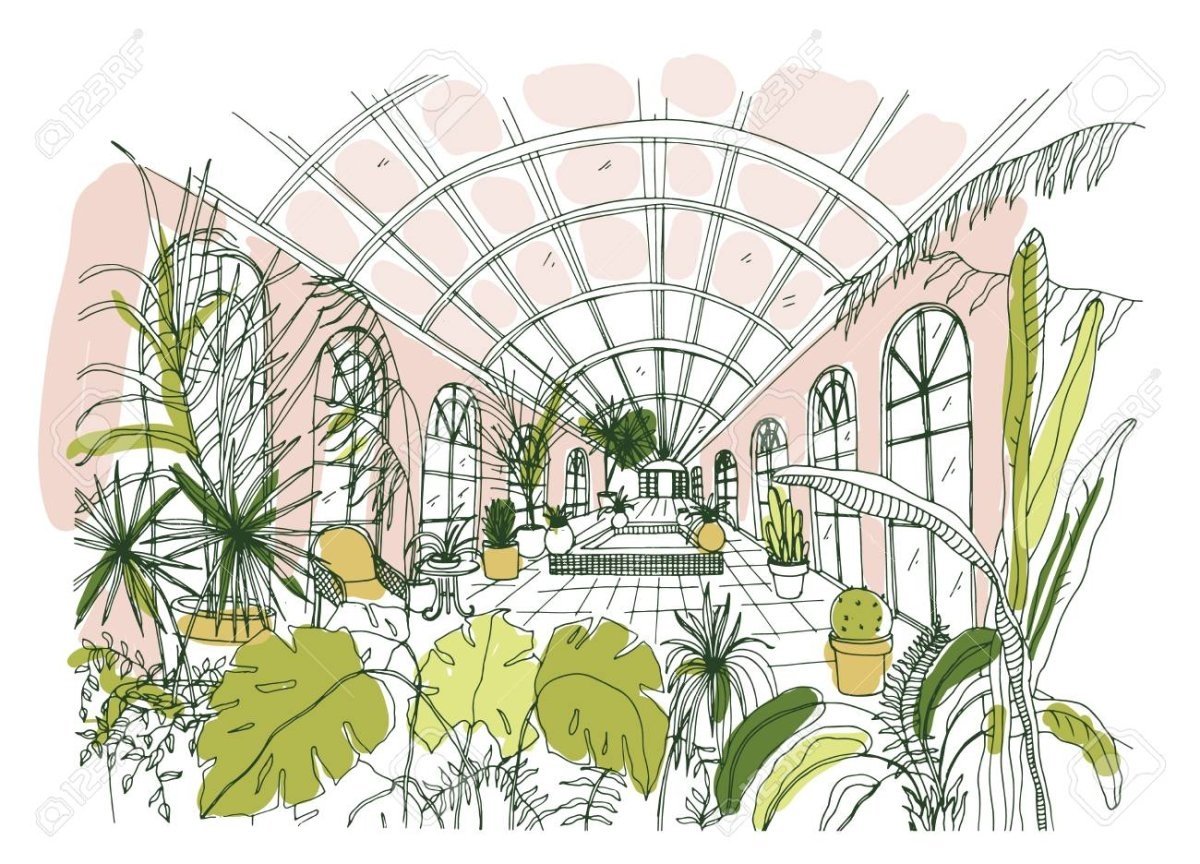 Оранжерея иллюстрация