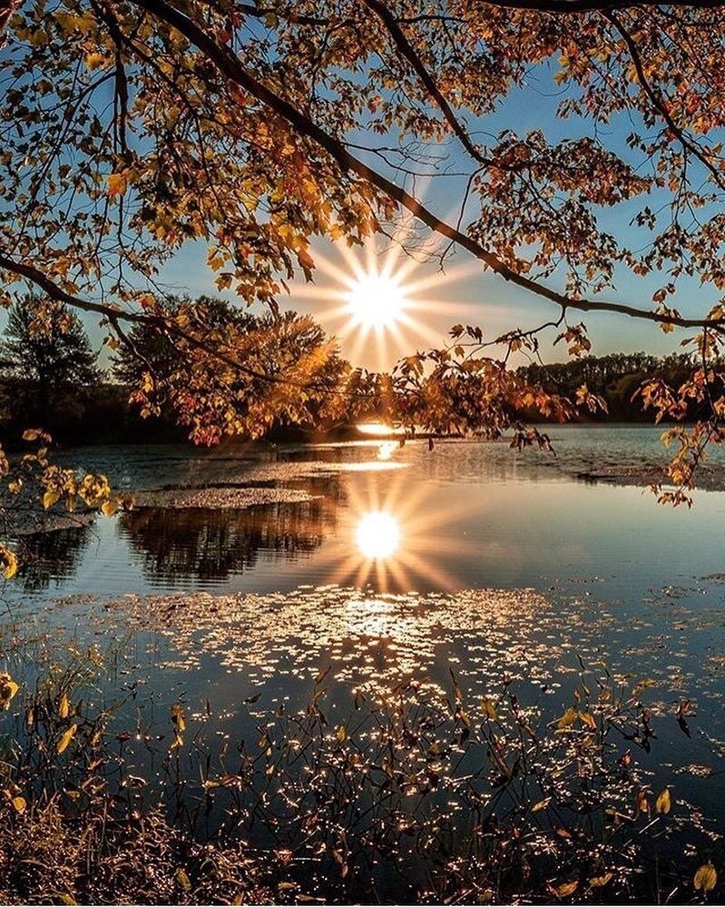 Отражение солнца в воде