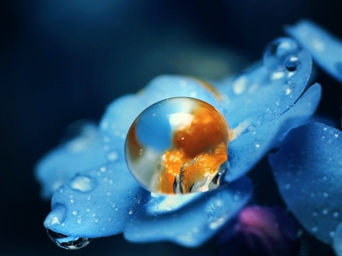 Капля Макросъемка