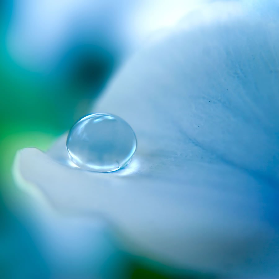Голубая капелька
