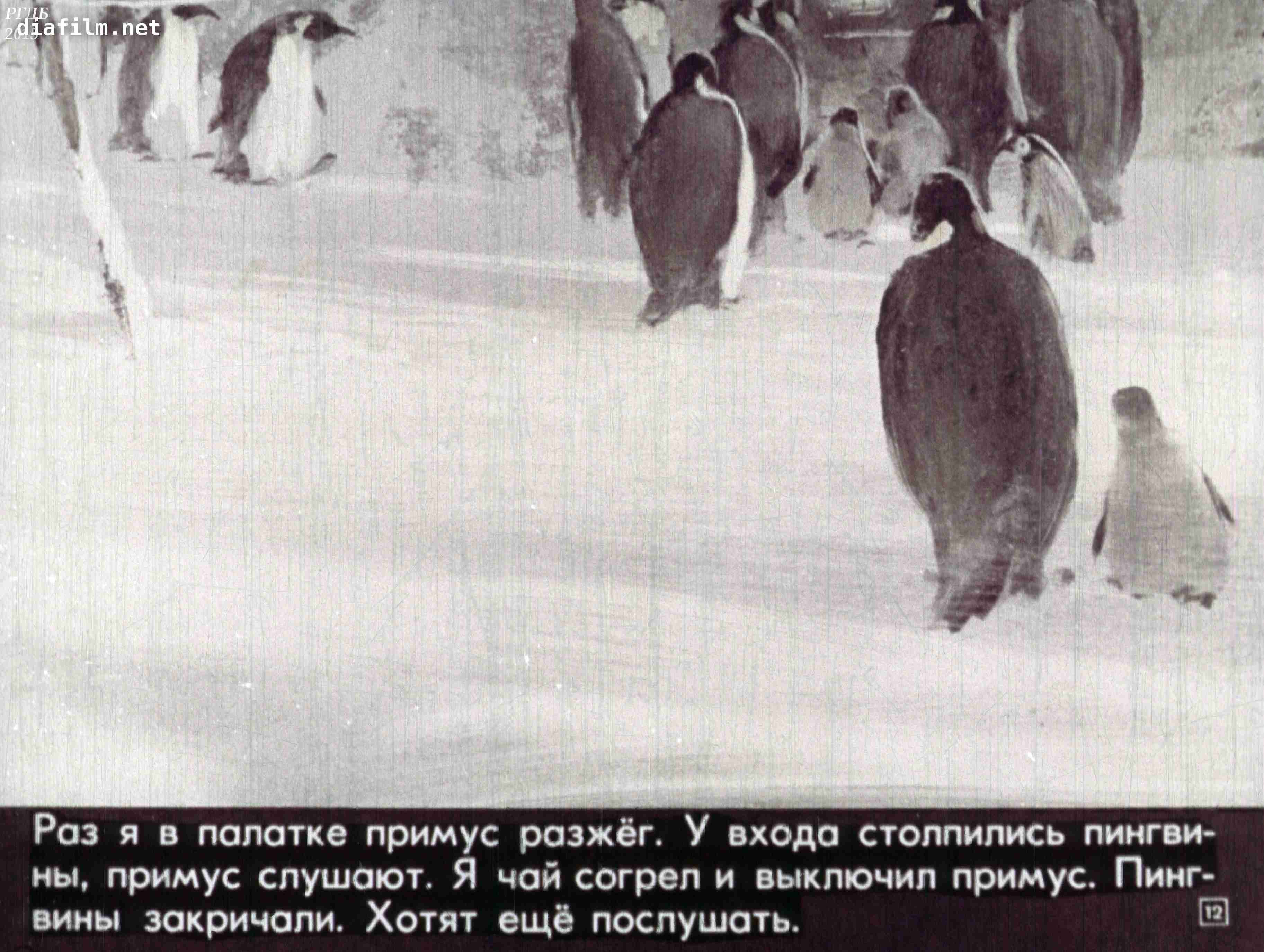 Пингвины идут с пляжа молча. Г. Снегирёв "про пингвинов" 11. Г Снегирева про пингвинов рассказ. Г Снегирев про пингвинов иллюстрации. Текст рассказов Снегирева про пингвинов.