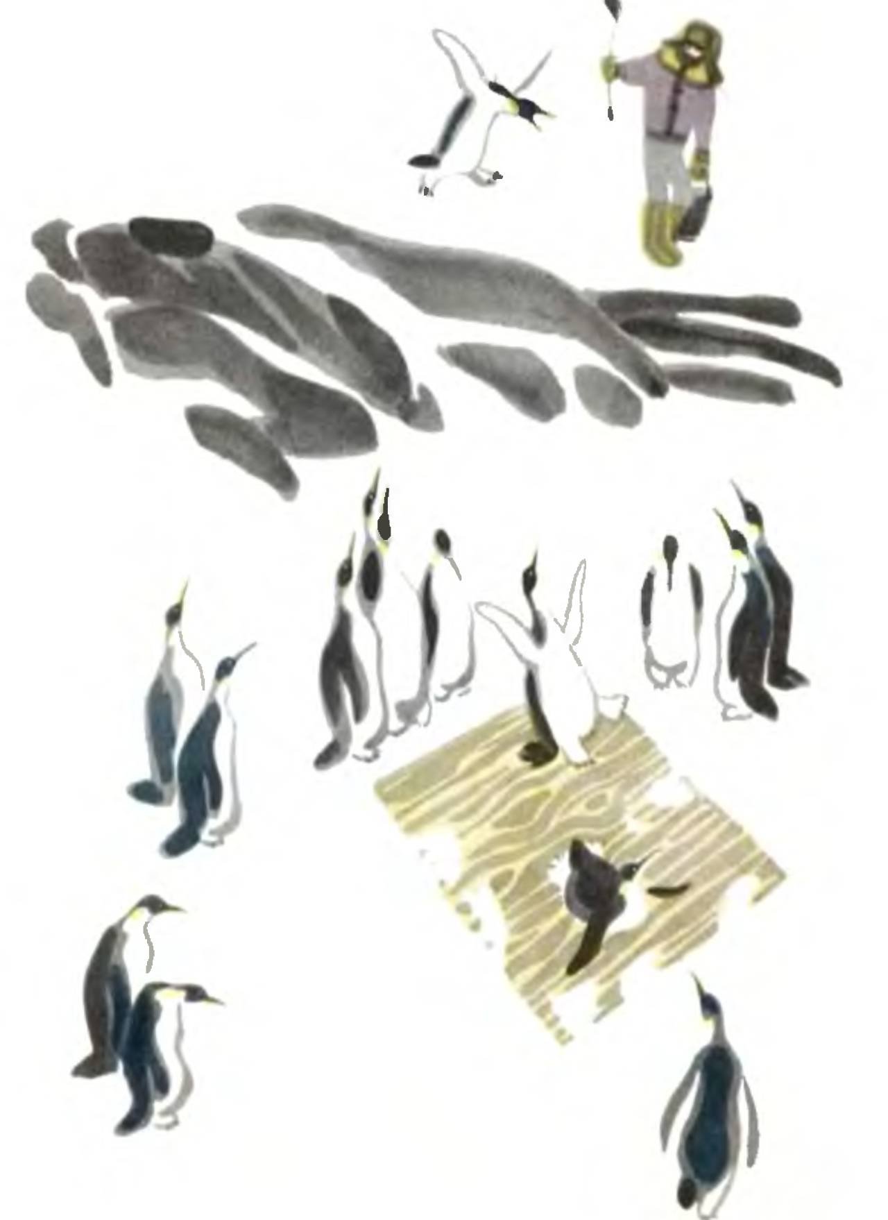 Чтение рассказов про пингвинов снегирева в старшей. Г. Снегирева «Пингвиний пляж»..