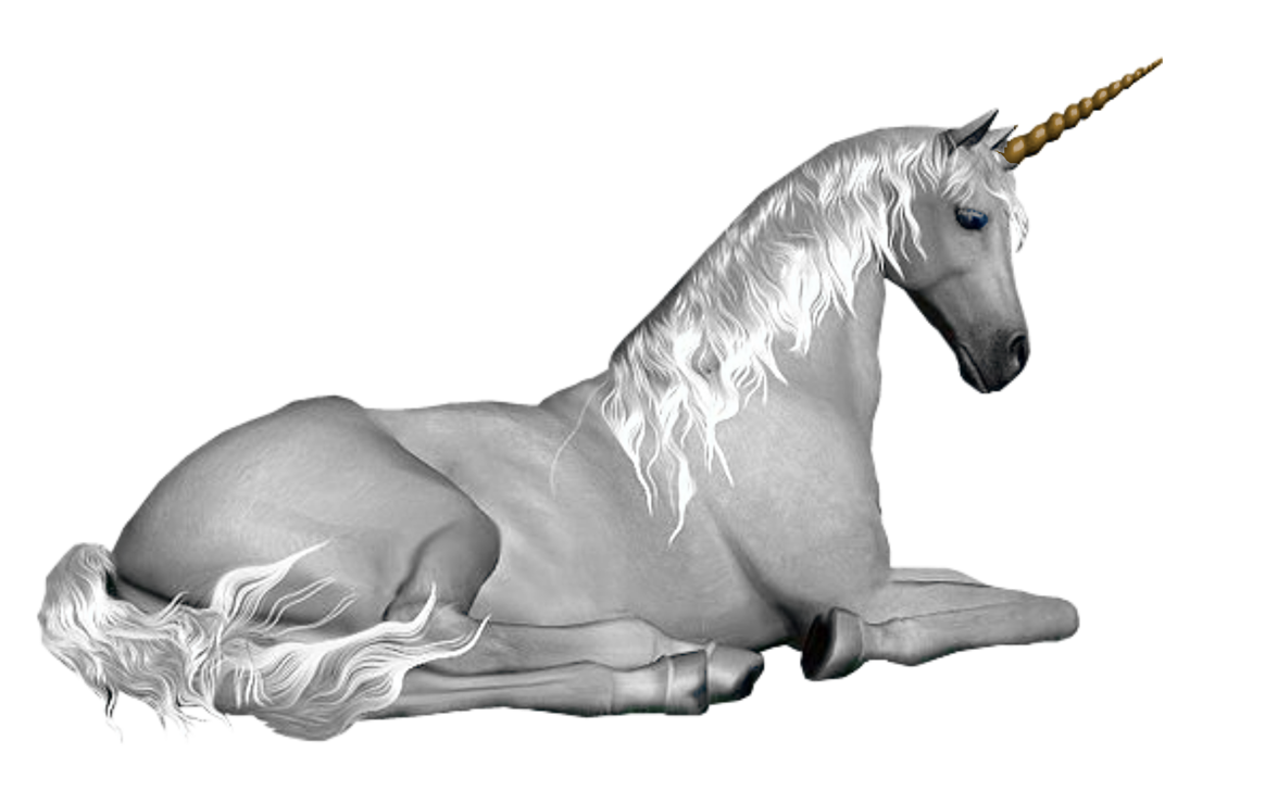 Разноцветный Единорог