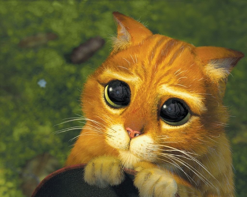 Диб Хлебушек Егор