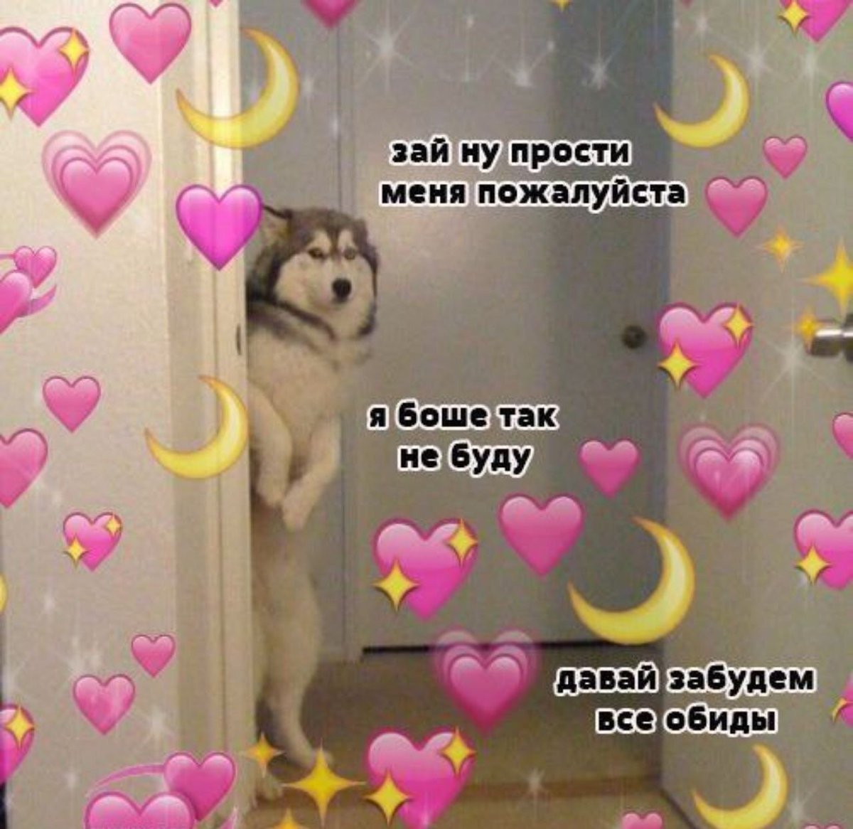 Кот в сапогах из Шрека глаза