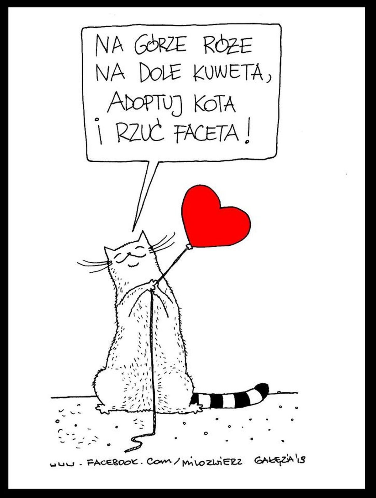 Прости что забыла поздравить с днем рождения