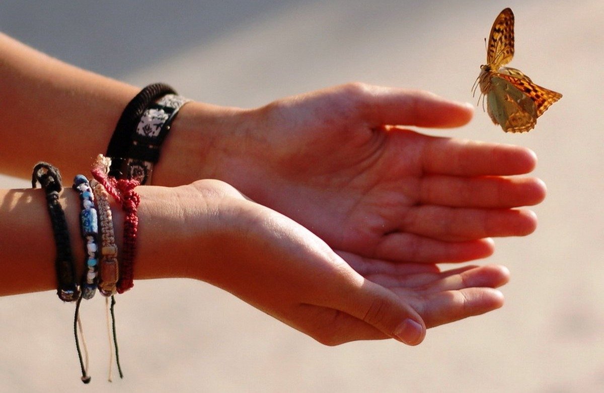 На руку бабочка