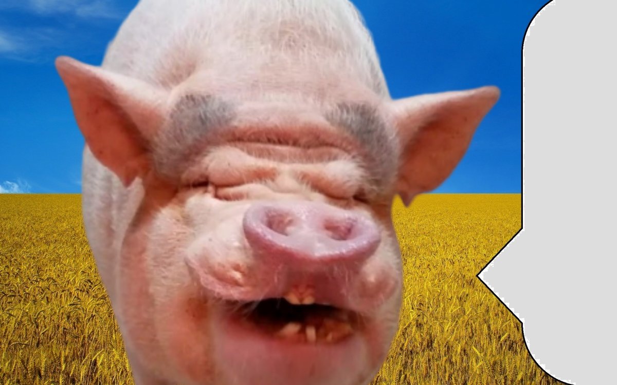 Pig Shutterstock