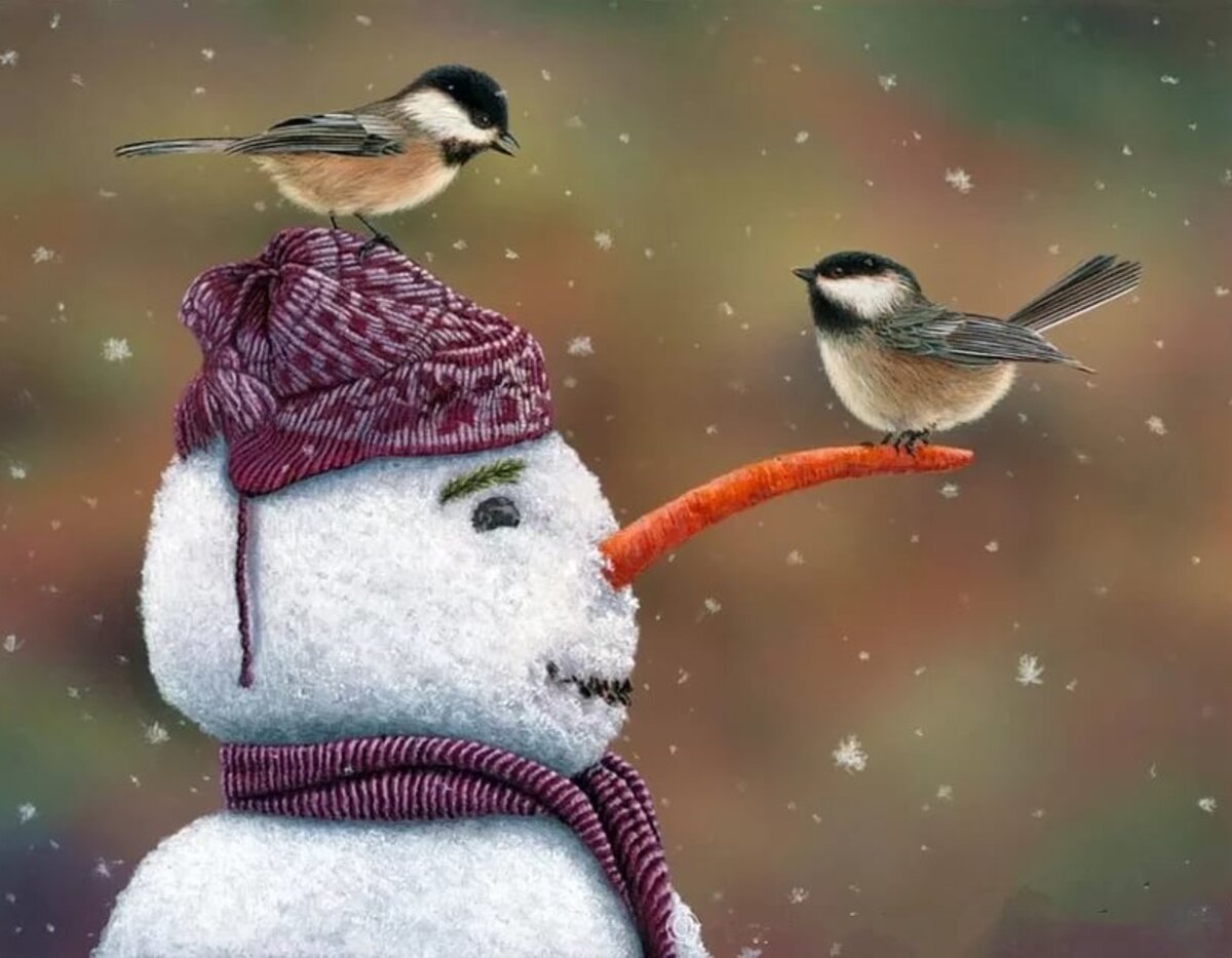 Зимнее утро весело. Художник Kim Norlien. Зима птицы. Доброе утро зима птицы. Доброе зимнее утро с птицами.