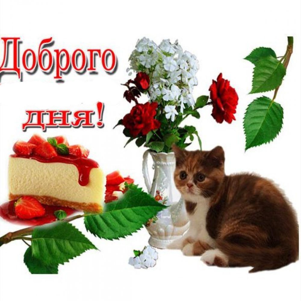 Хорошего воскресенья