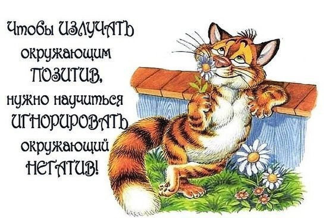 Воскресный позитив в прикольных картинках