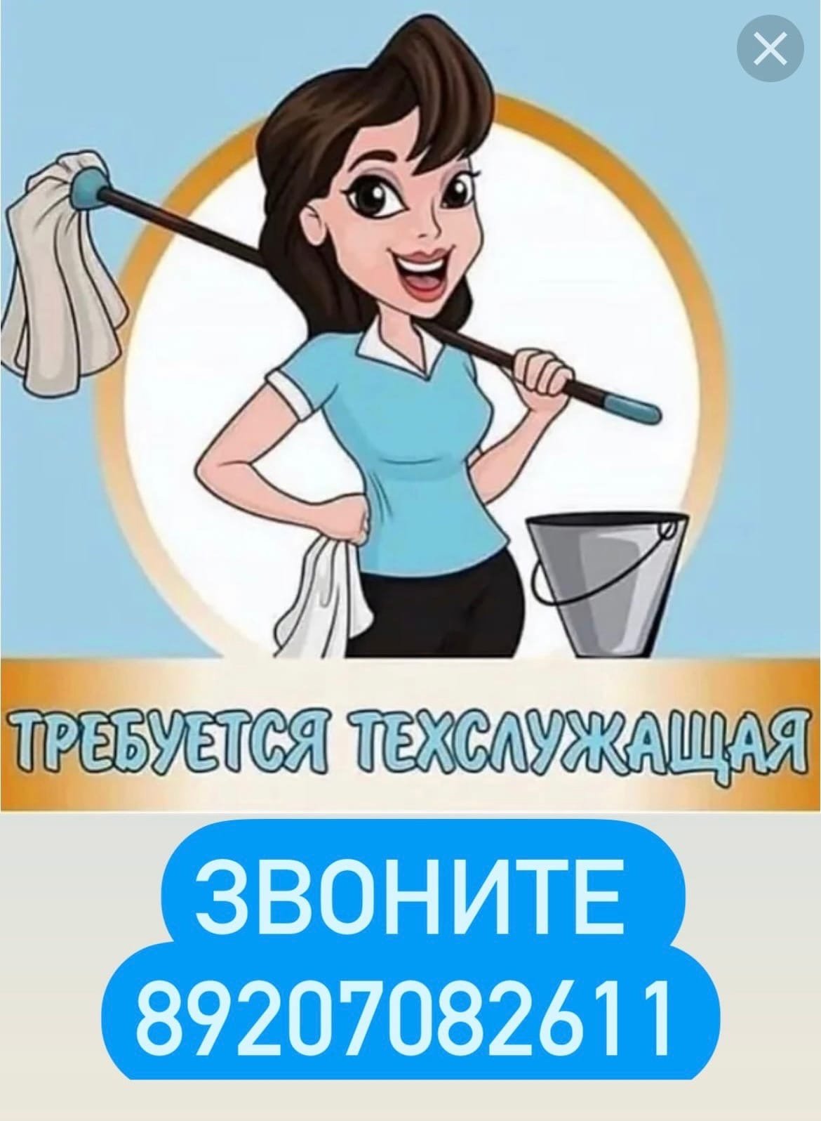 Техничка со шваброй