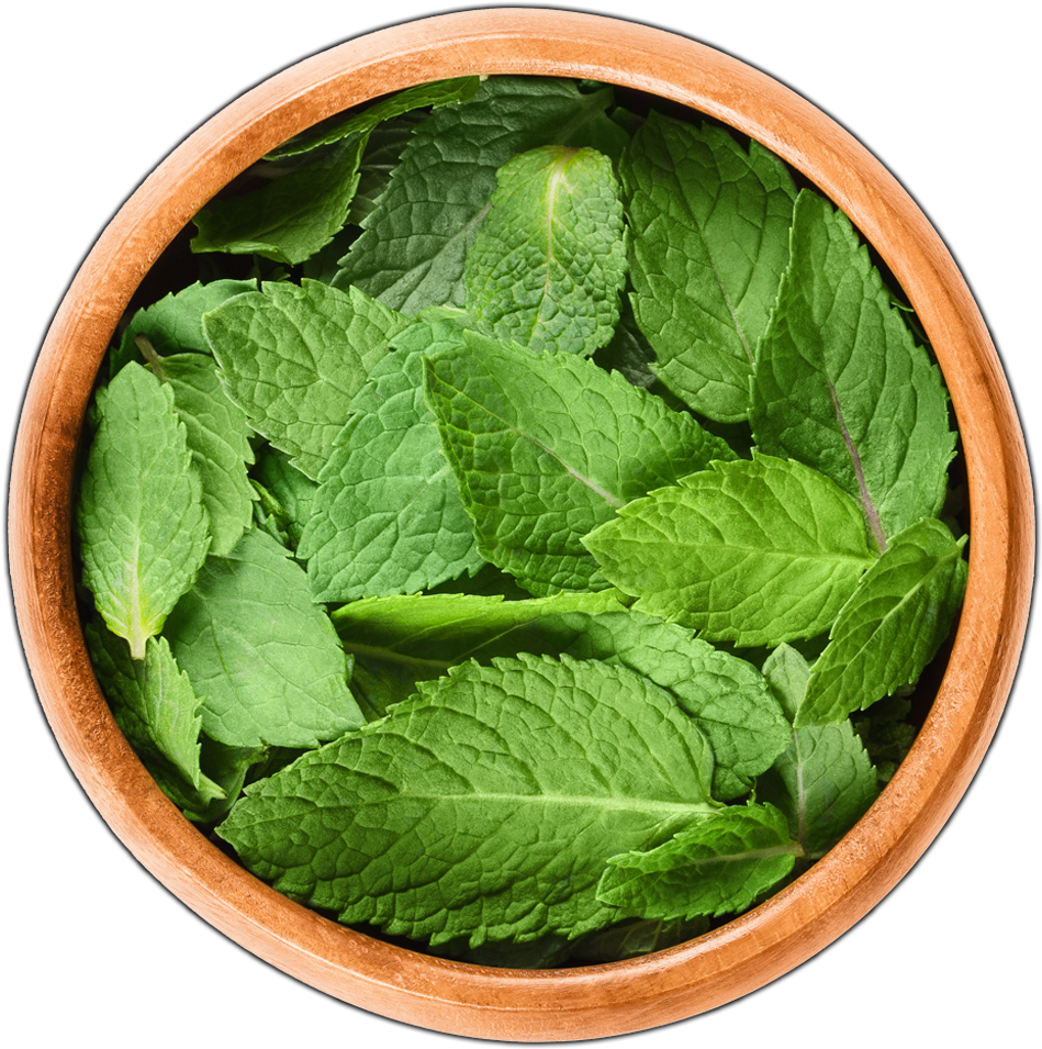 Зелень Пудина