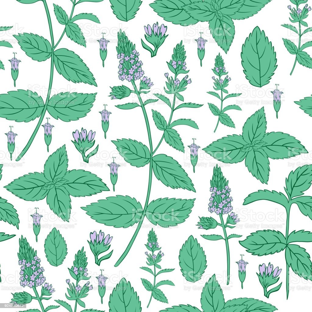 Мята силуэт