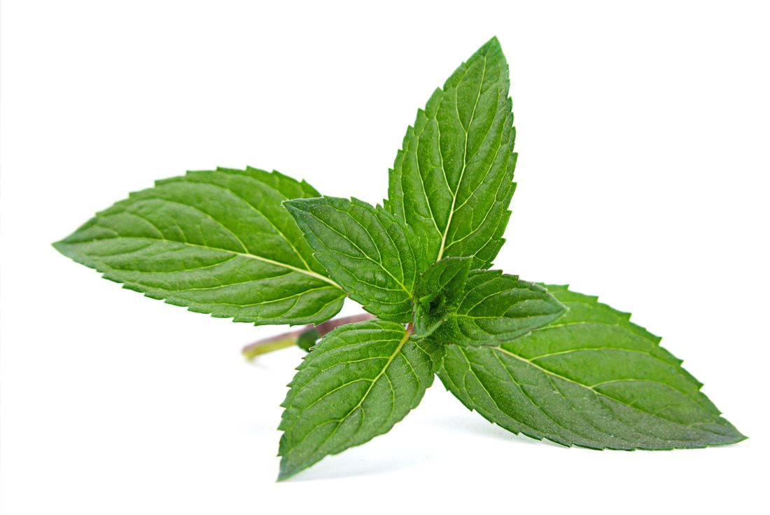 Паттерн с мятой