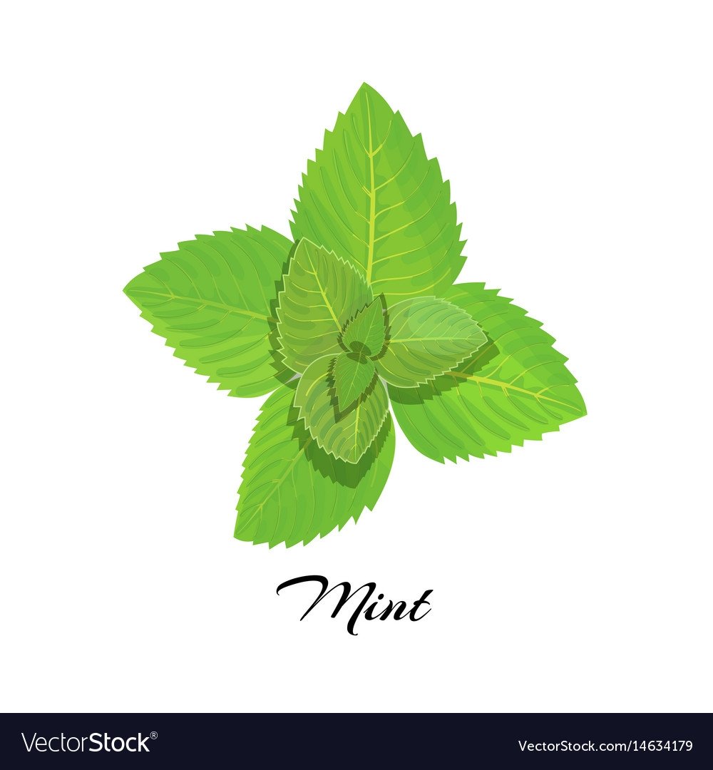 Мята мультяшная