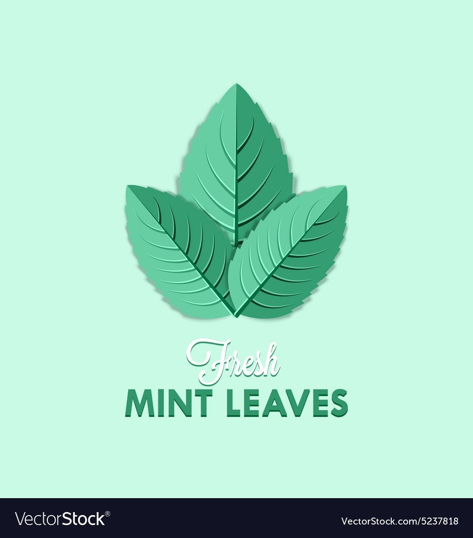 Лист мяты логотип