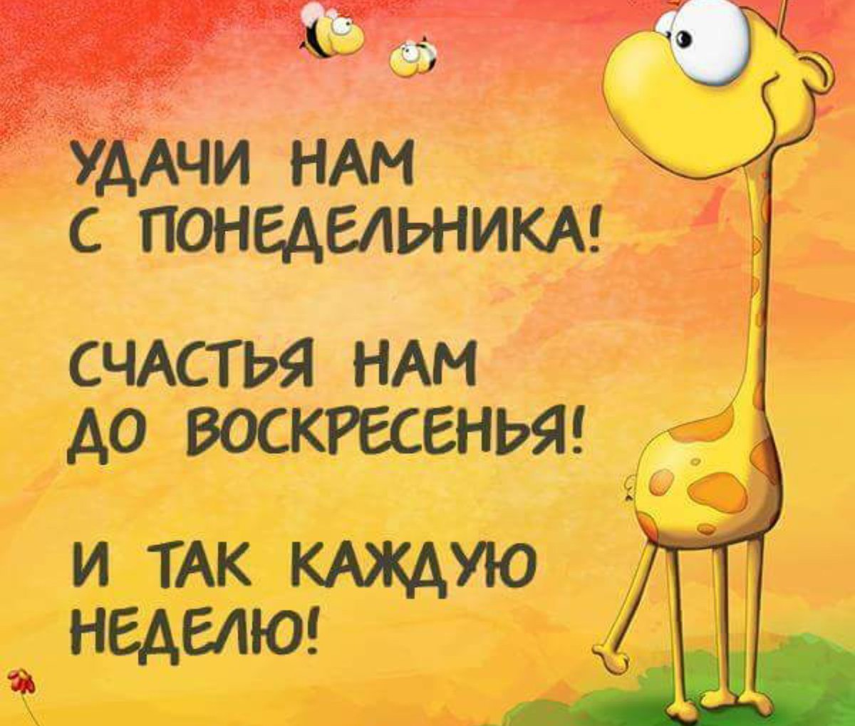 Смешные позитивные цитаты