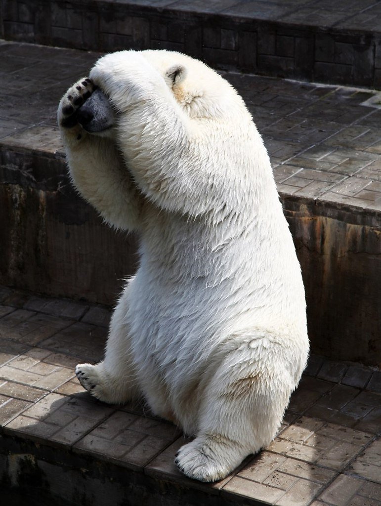 Счастье есть