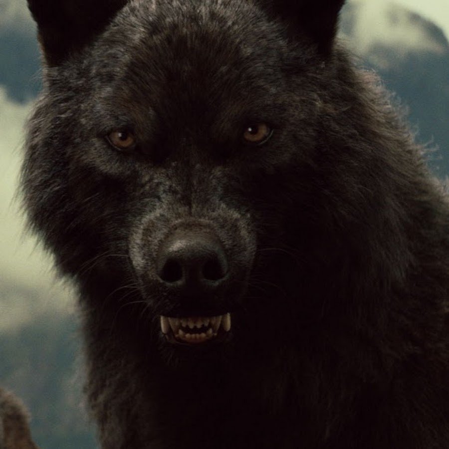 Мультфильм про оборотней 2020