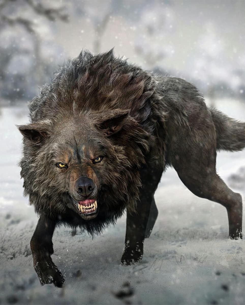 Канадский волк оскал