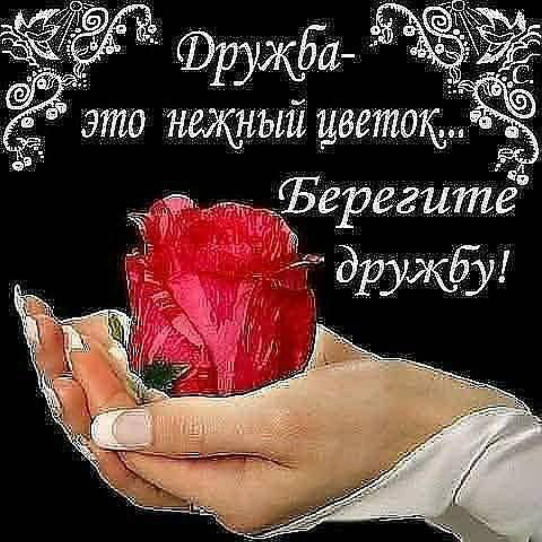 Берегите дружбу