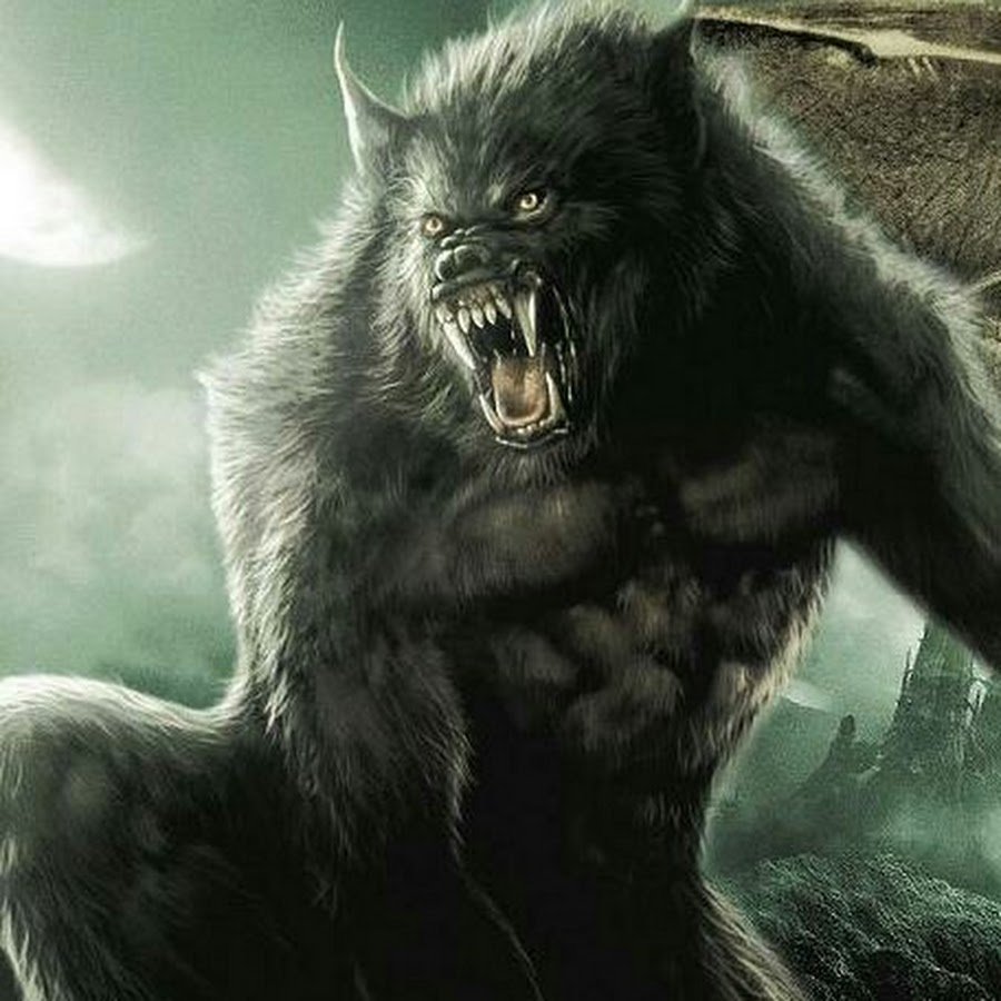 Волк из сумерков