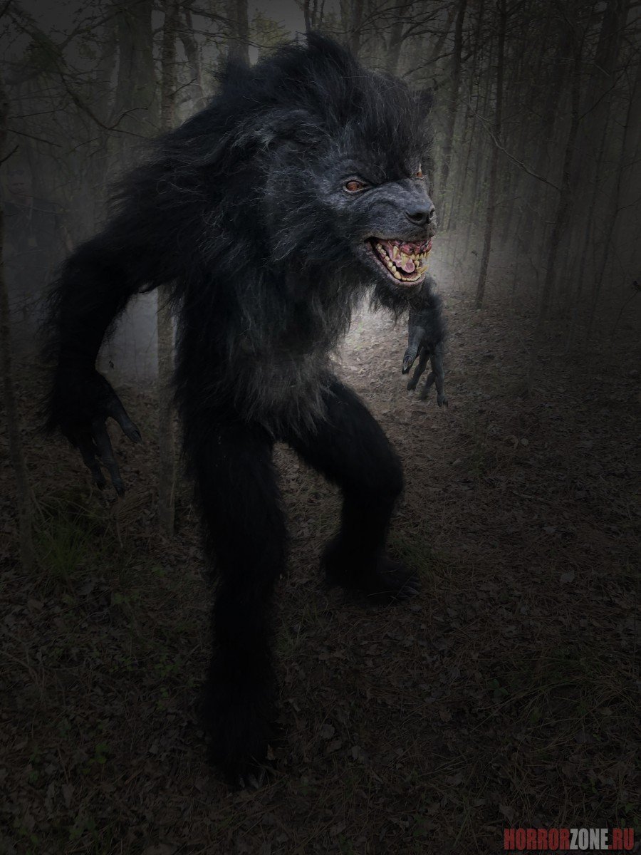 Джейкоб Блэк