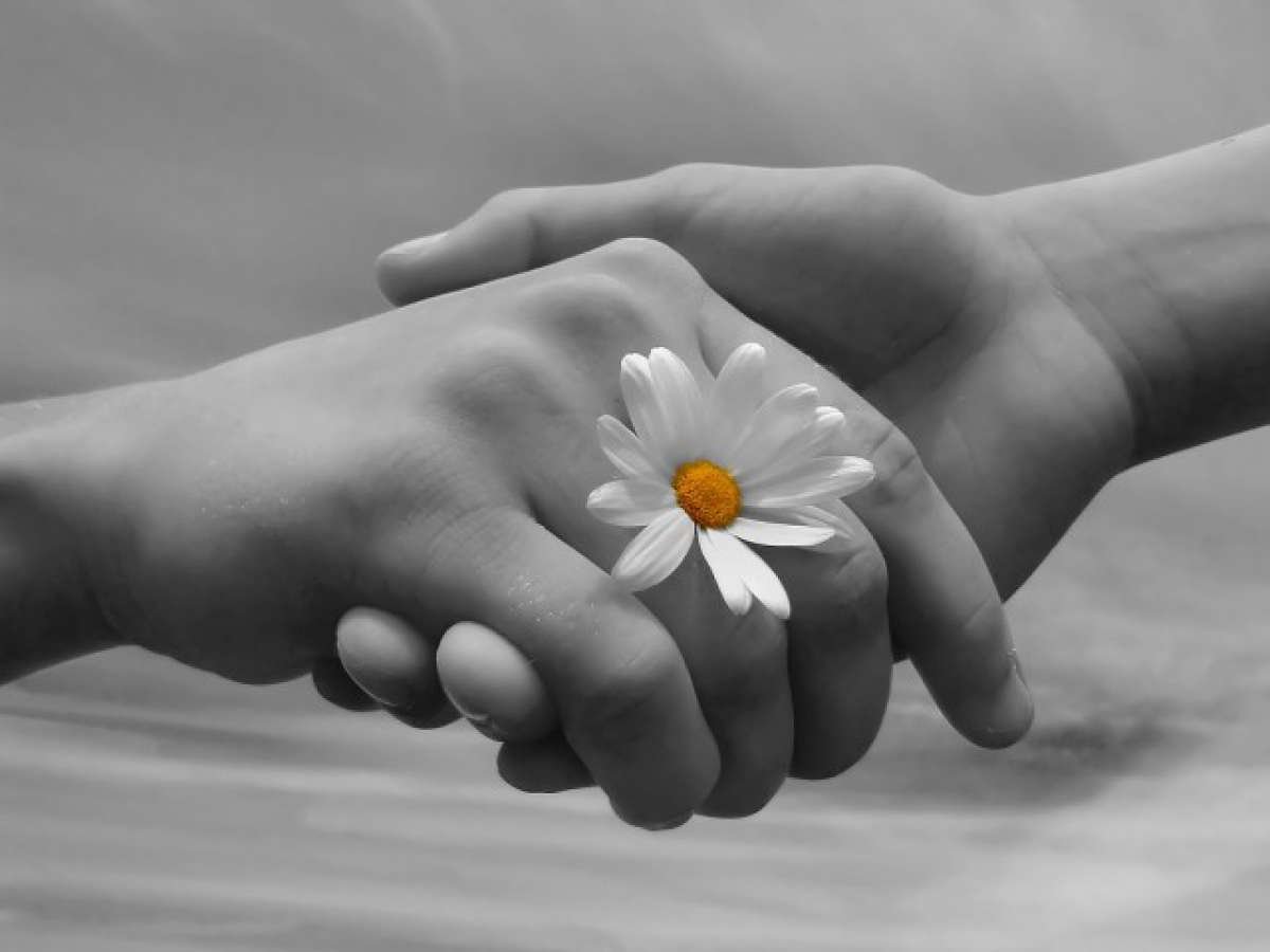 Открытки с высказываниями о дружбе