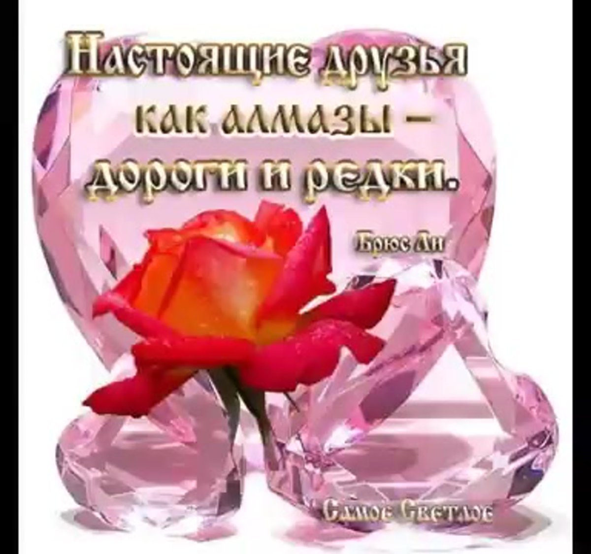 Открытка ты настоящий друг