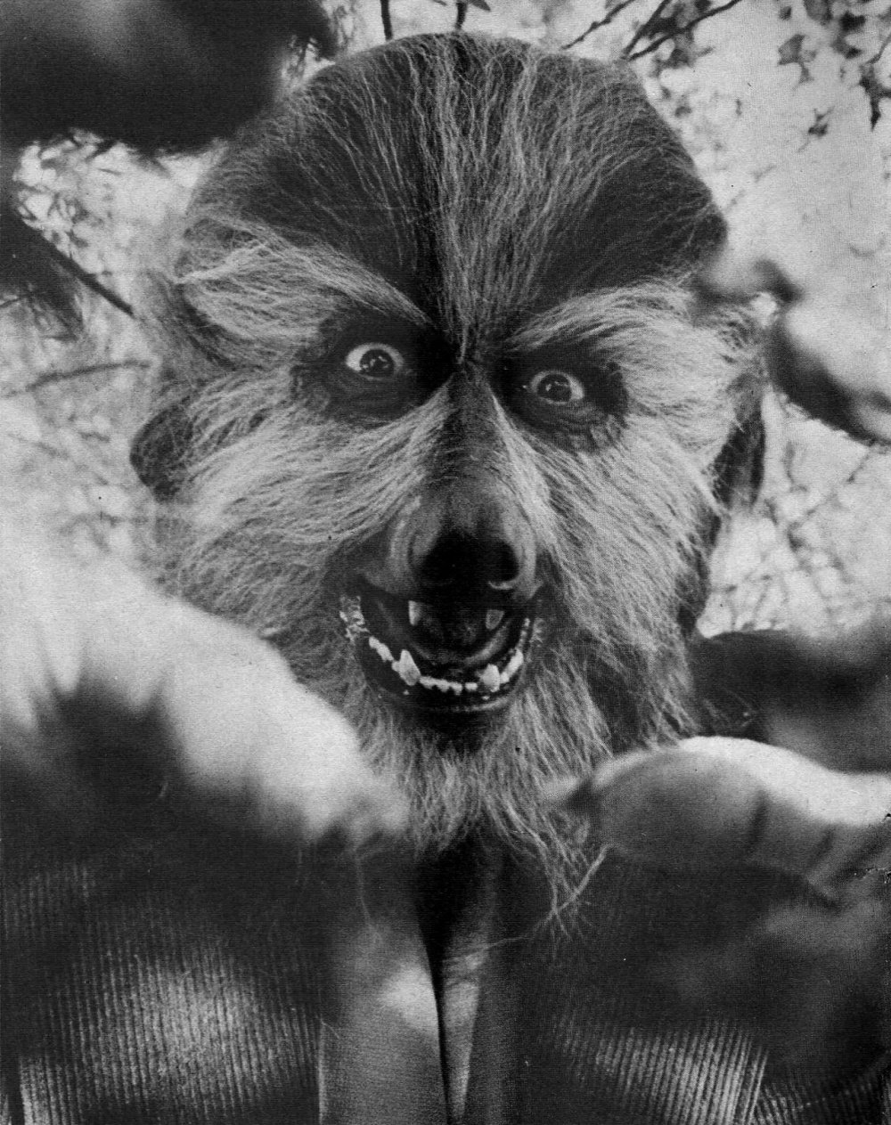 Как выглядит оборотень