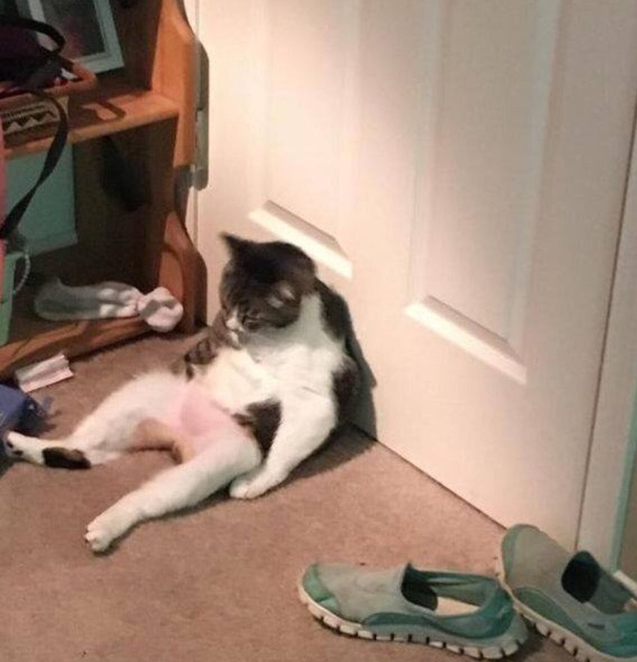 Джонни Синс с двумя девушками