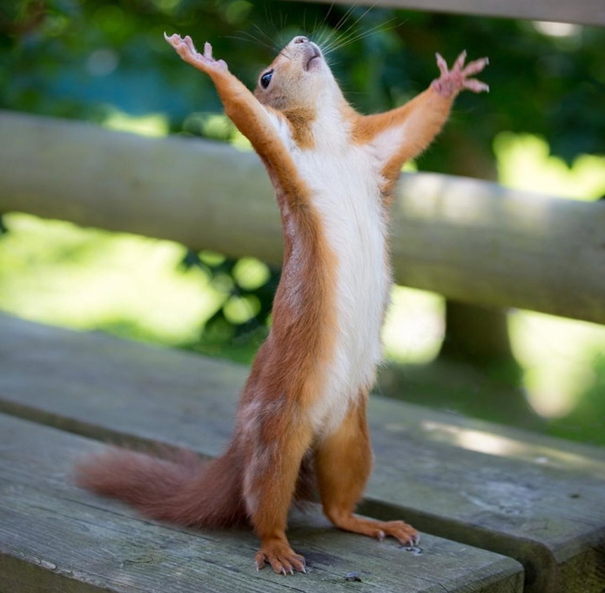 С первым рабочим днём после отпуска