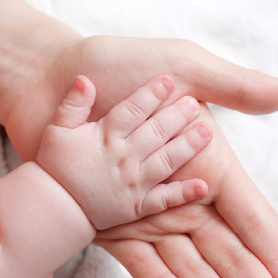 Четыре руки семья