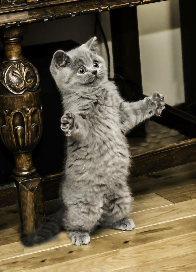 Миримся картинки прикольные