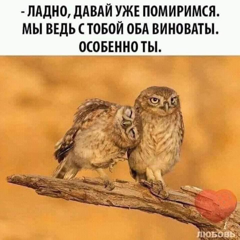 Открыткадовай мирится