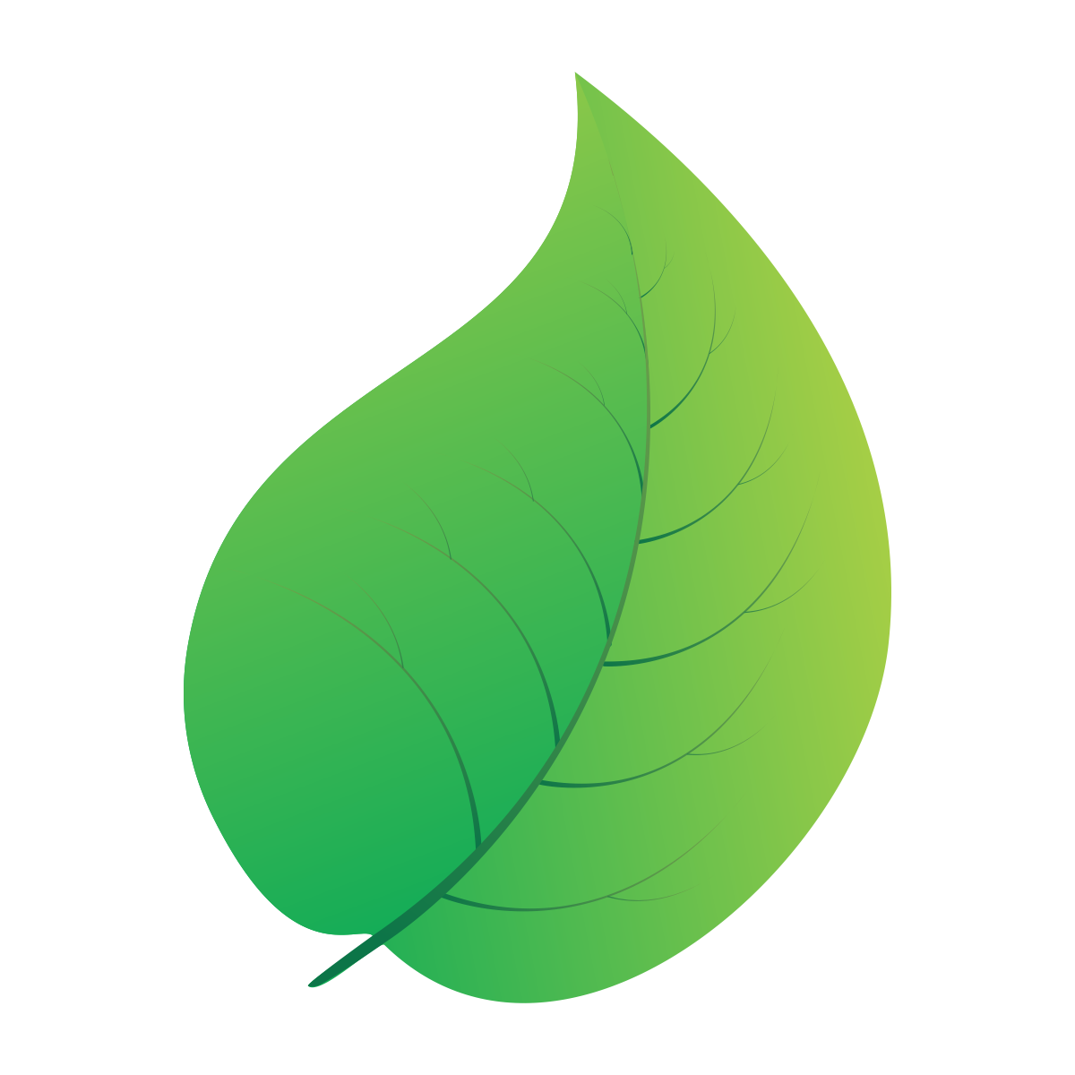 Зелёный листок для рисования