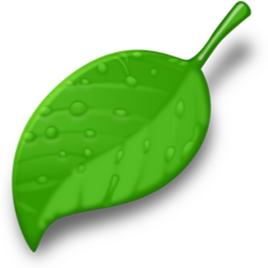 Листочки зеленые мультяшные