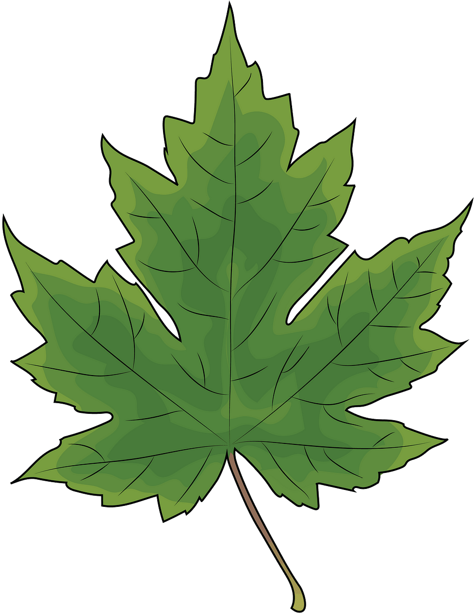 Лист клена вектор