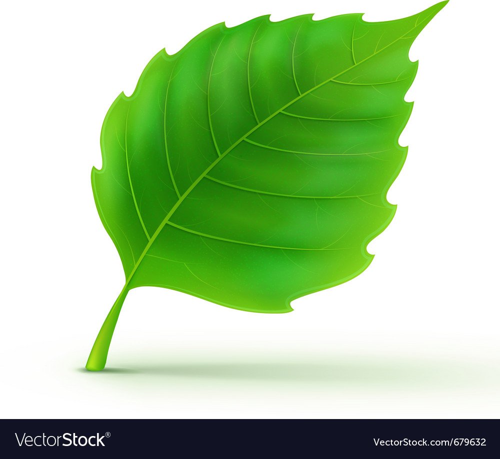 Листик метка