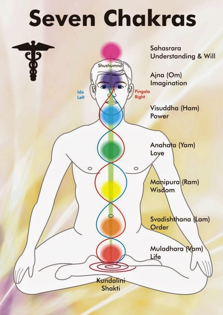 Дин Эвенсон чакра хилинг